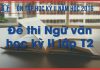 Đề thi Bj88games cool tải ứng dụng học kỳ II lớp 12 do BJ88DAGA biên soạn
