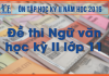 Đề thi Bj88games cool tải ứng dụng học kỳ II lớp 11 do BJ88DAGA biên soạn