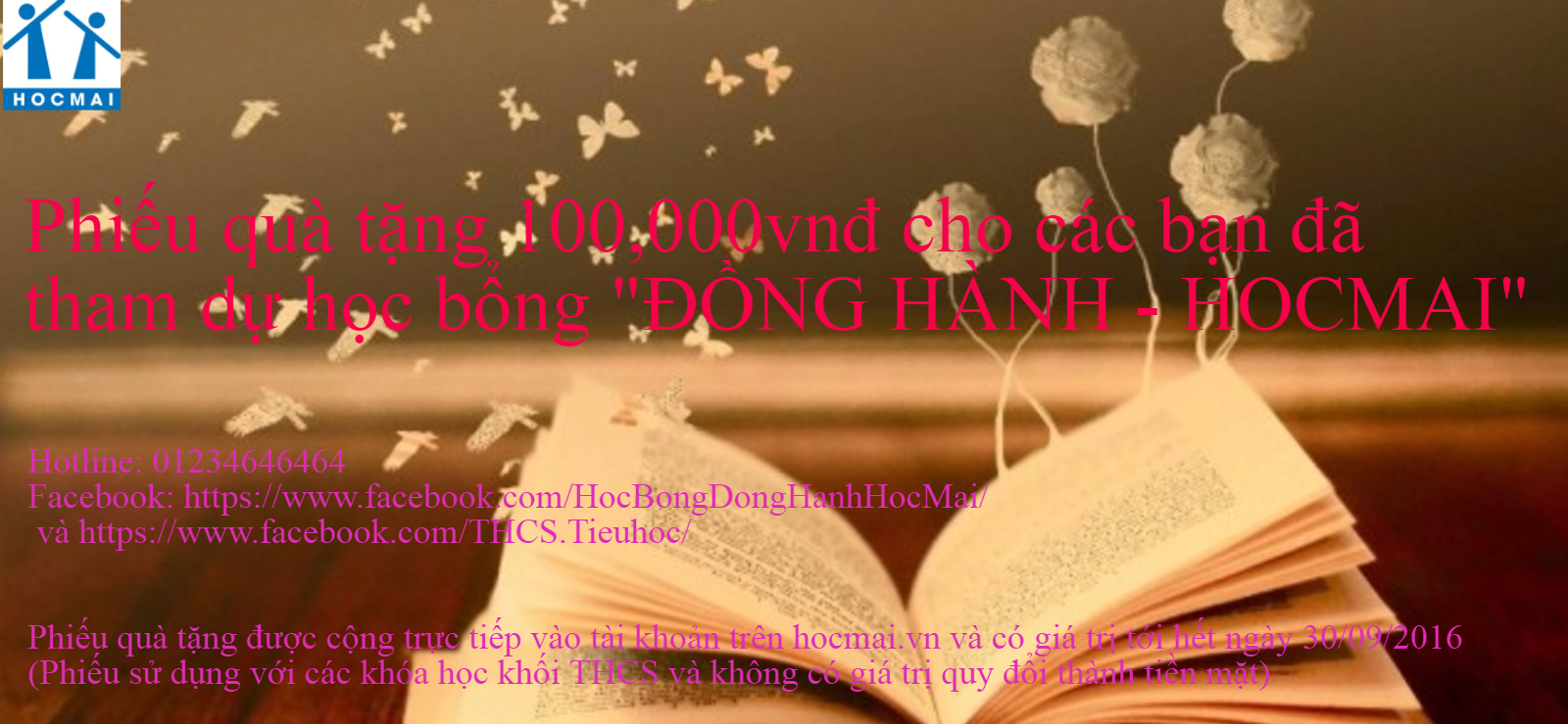 Ảnh bài 1