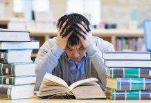 Muốn khởi nghiệp thì học ngành nào?