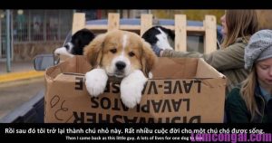 phim-chieu-rap-thang-1-7