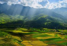 Dự báo kiến thức Địa lí 11 có trong đề thi THPT QG 2018