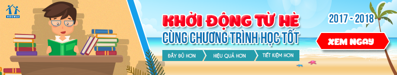Banner 4 (785x150)
