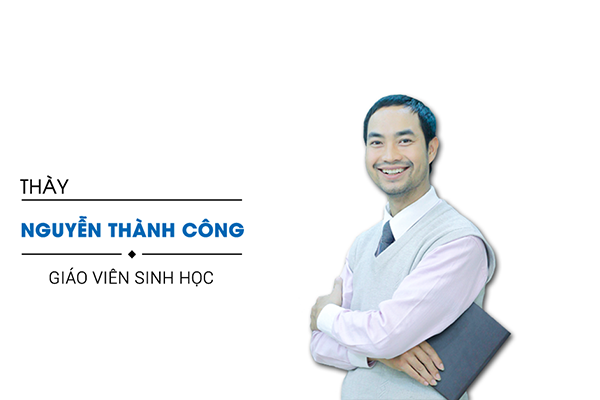 thayCong-600-400