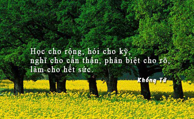 hoc-cho-rong