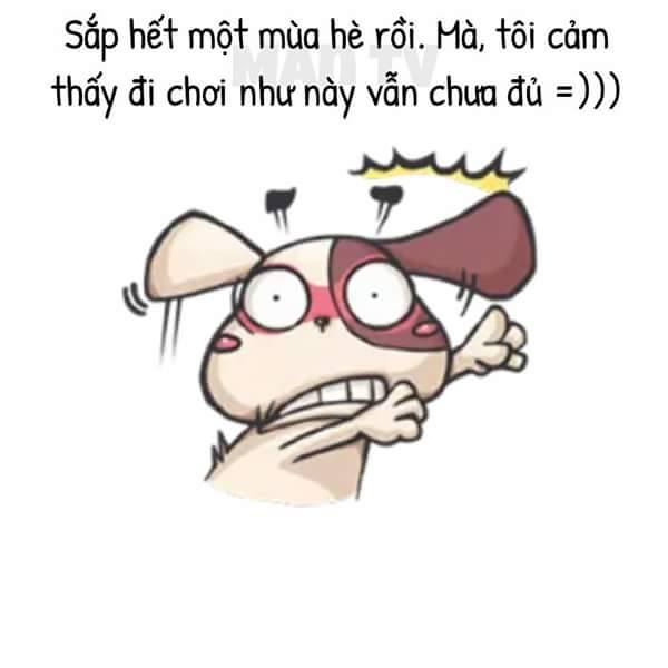 man-tv-21796-sap-het-he-roi-f09f9894