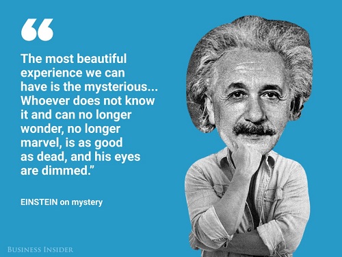 cham-ngon-tieng-anh-einstein