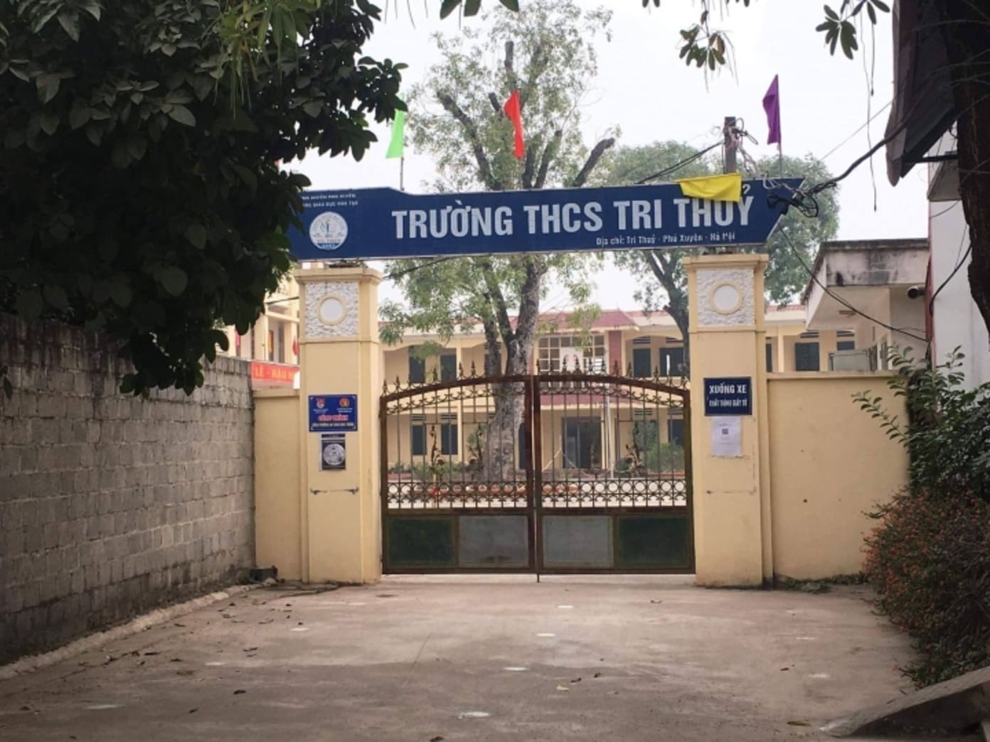 dung-hoc-truc-tiep 