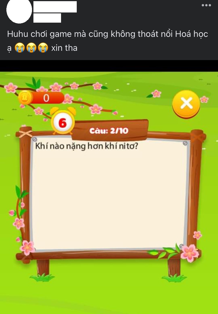 uom-mam-tet-xanh