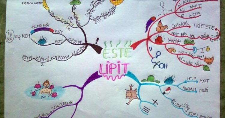 Cách học hóa 11