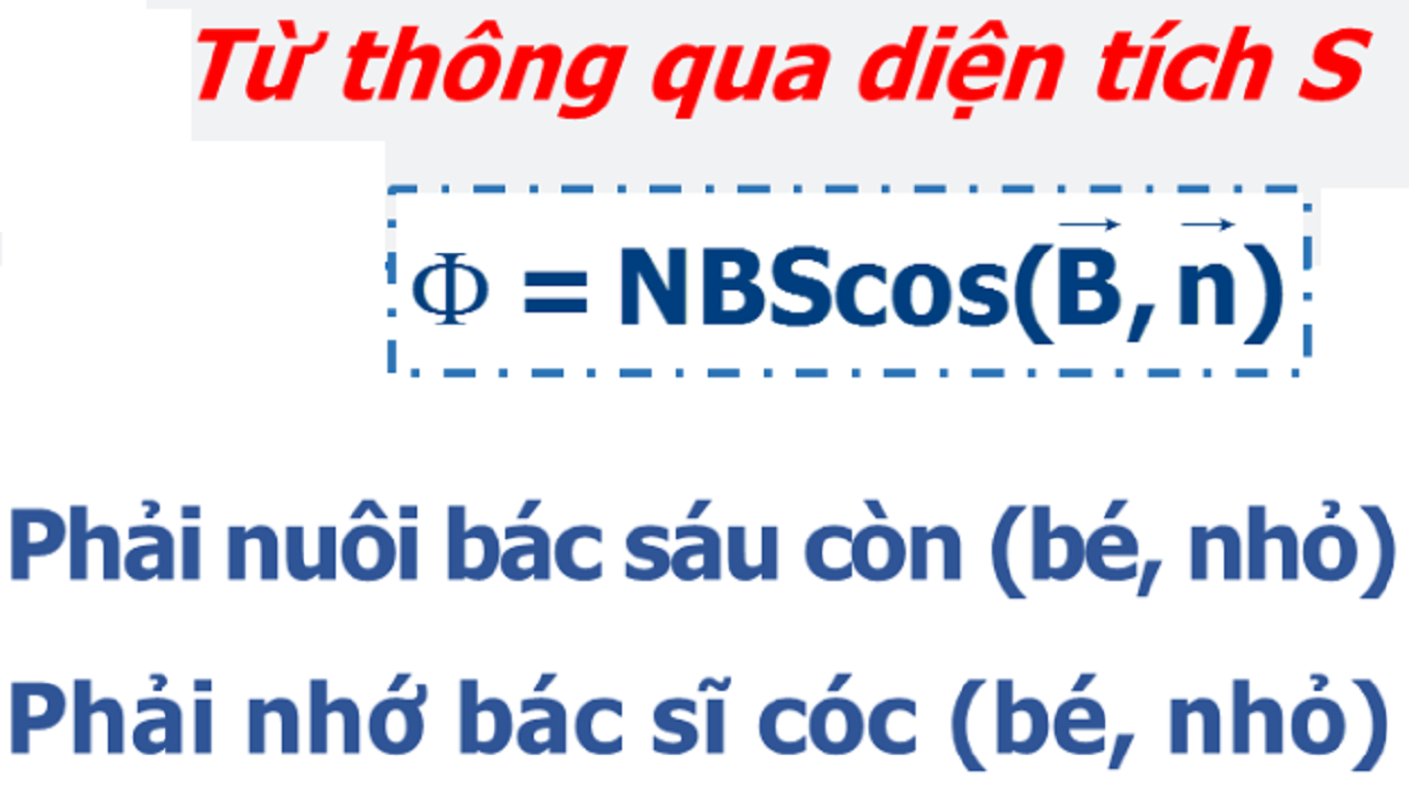 Học Vật Lí 11 kỳ 2 Học Vật Lí 11