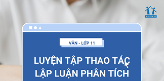Soạn bài luyện tập thao tác lập luận phân tích lớp 11