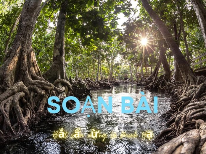 Soạn bài đọc thêm Bắt sấu rừng U Minh Hạ | Bj88games cool tải ứng dụng 12
