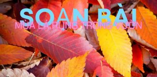 Soạn bài Mùa lá rụng trong vườn | Bj88games cool tải ứng dụng 12