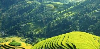 Bài phân tích 12 câu tiếp bài Việt Bắc hay nhất