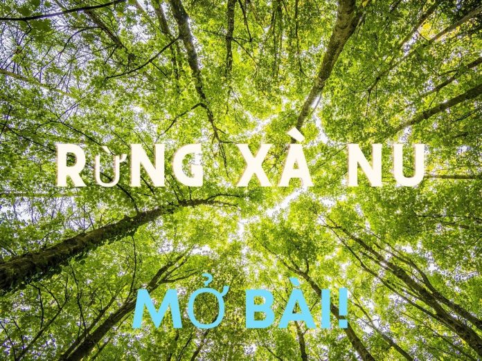 Mở bài Rừng xà nu hay nhất | Bj88games cool tải ứng dụng 12