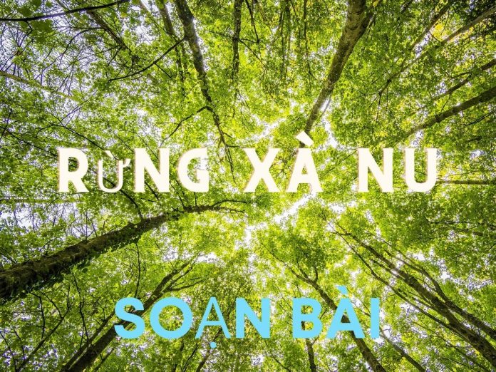Soạn bài Rừng Xà Nu | Bj88games cool tải ứng dụng 12