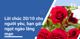 Lời chúc 20/10 cho người yêu, bạn gái ngọt ngào lãng mạn