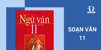 Soạn Văn 11 Ngắn Nhất - Tổng hợp tất cả kiến thức ngữ văn lớp 11