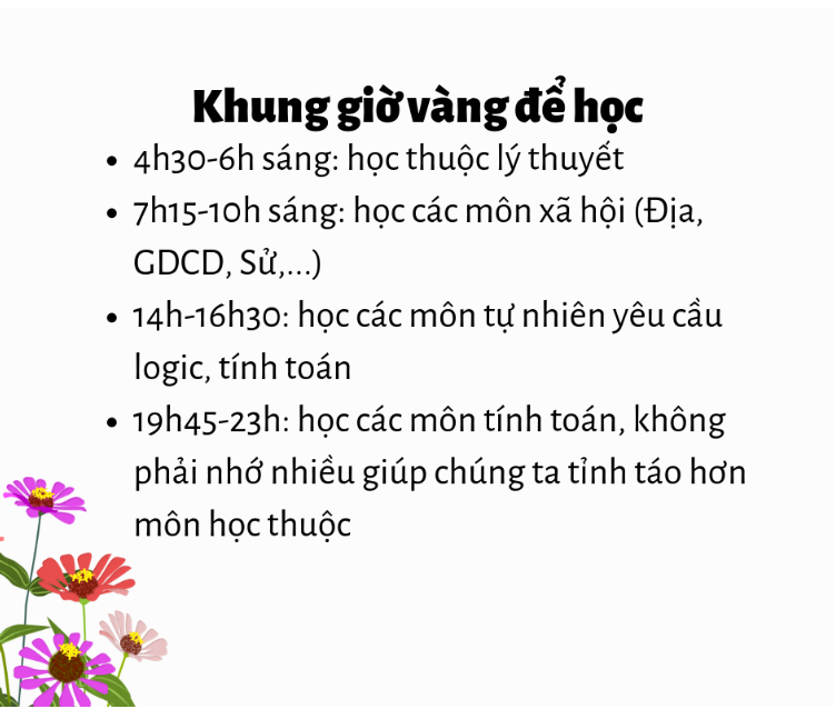 nhung-sai-lam-trong-qua-trinh-on-thi-dgnl-dhqghn-2023-1