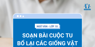 soan-bai-cuoc-tu-bo-lai-cac-giong-vat-thumbnail