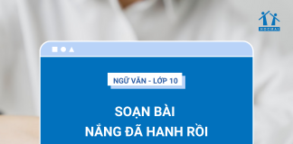 soan-bai-nang-da-hanh-roi