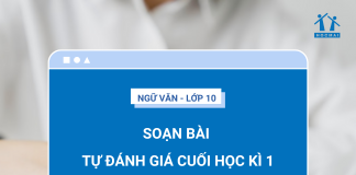soan-bai-tu-danh-gia-cuoi-hoc-ki-1-ngu-van-10-canh-dieu