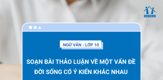 soan-bai-thao-luan-ve-mot-van-de-doi-song-co-y-kien-khac-nhau