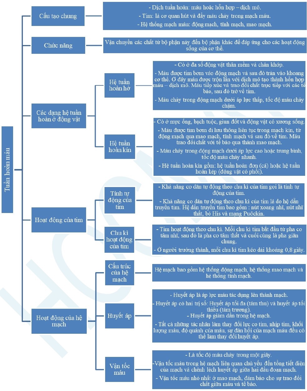 de-cuong-on-thi-hoc-ki-1-mon-sinh-11-11