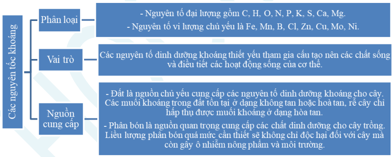 de-cuong-on-thi-hoc-ki-1-mon-sinh-11-3