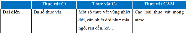 de-cuong-on-thi-hoc-ki-1-mon-sinh-11-5