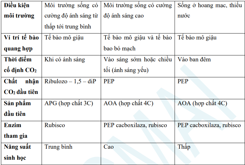 de-cuong-on-thi-hoc-ki-1-mon-sinh-11-6