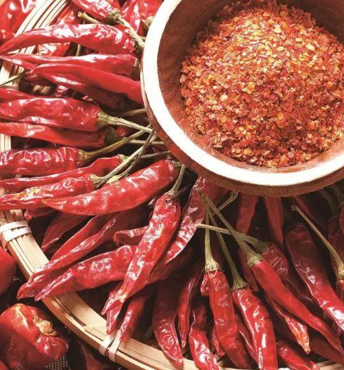 TIÊU ĐỀ: BÁO ĐIỂM CHẤT – RINH QUÀ HẾT NẤC