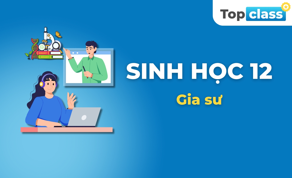 BJ88 là nhà cái uy tín hàng đầu tại Châu Á 12 - Gia sư 